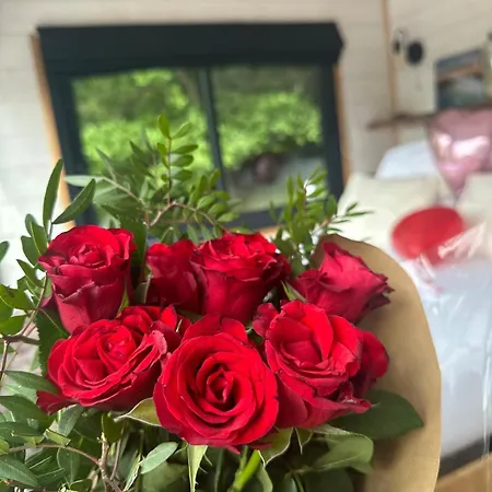 Tiny House Romantique Avec Bain Nordique *